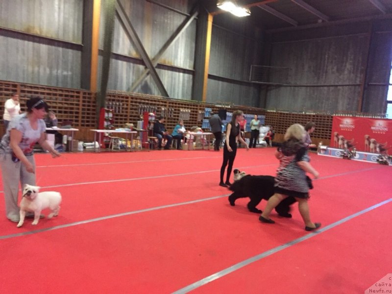 Фотография № 178820