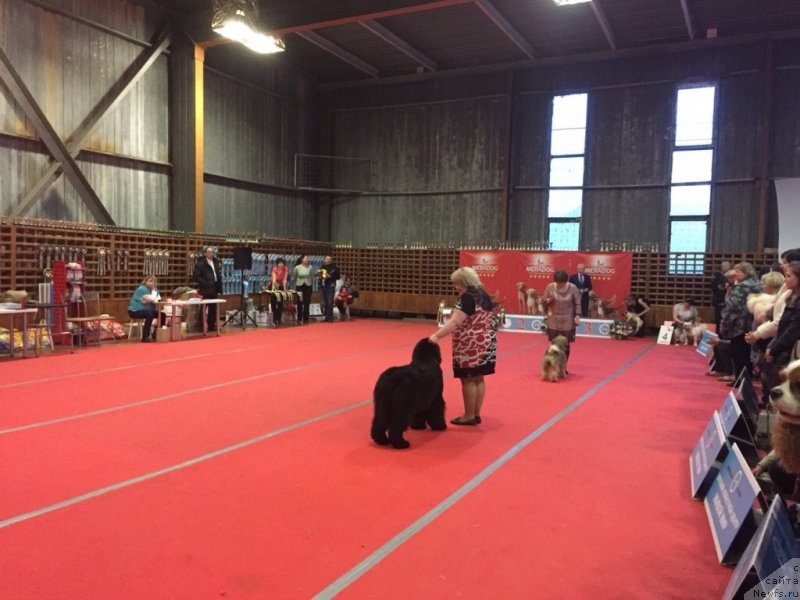 Фотография № 178822