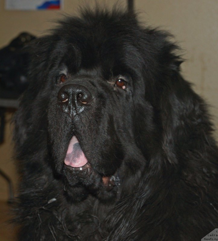 Фотография № 178823