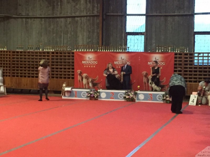 Фотография № 178824