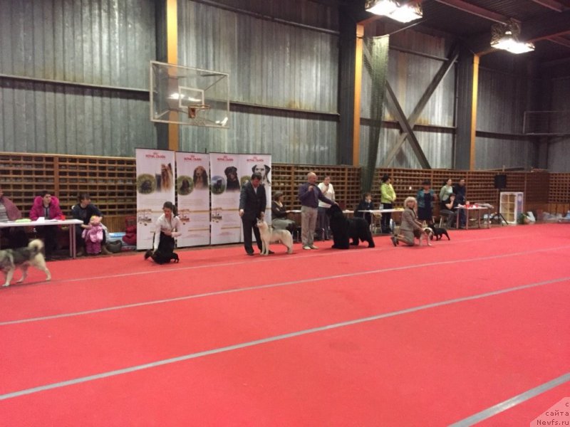 Фотография № 178826