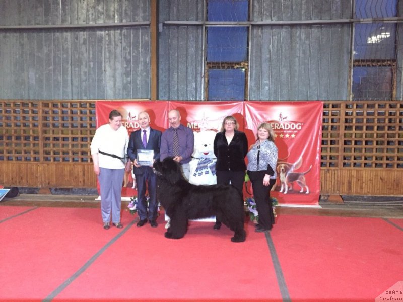 Фотография № 178827