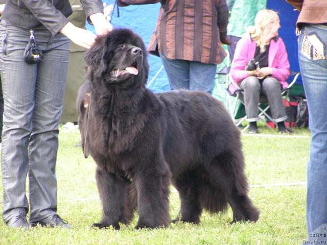 Фотография № 17883