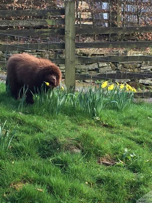 Фотография № 178851