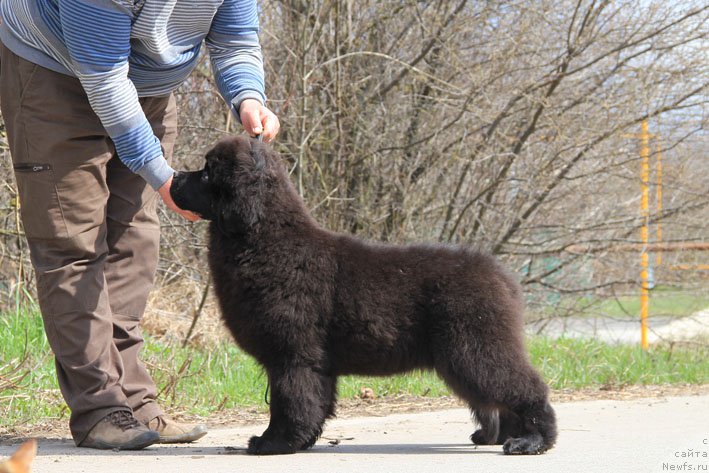 Фотография № 178871