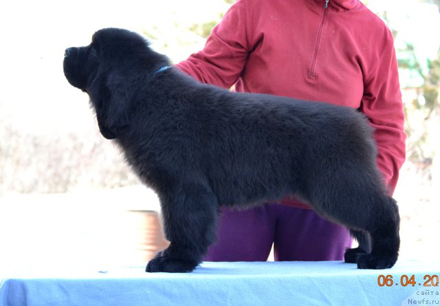 Фото: Акватория Келвин Дрим Тим