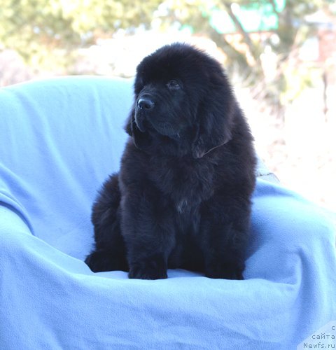 Фотография № 178878