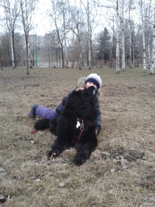 Фото: Юлия Якушева