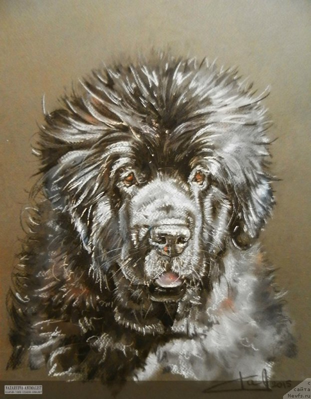 Фотография № 178909