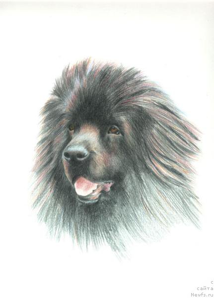 Фотография № 178929