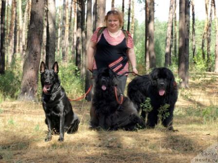 Фото: ньюфаундленд Ханеса (Hanesa), ньюфаундленд Аким из Волотова (Akim iz Volotova), Наталия Шевчук