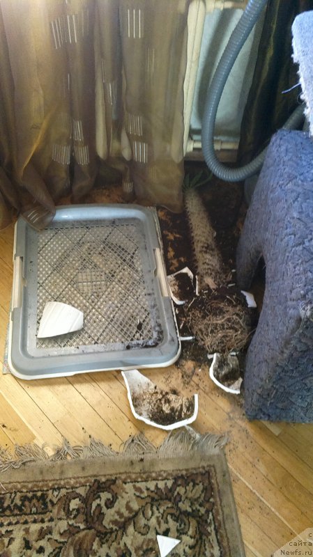 Фотография № 178956