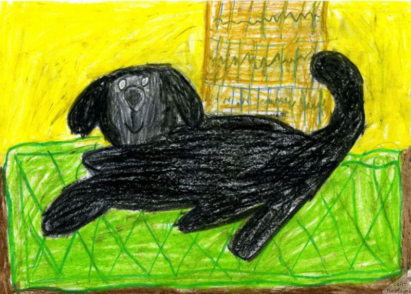 Фото: ньюфаундленд Ньюфорт Волшебный Лес Тоторо