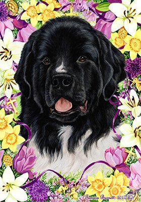 Фотография № 178990