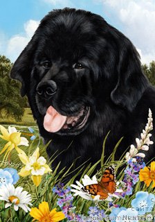 Фотография № 178991