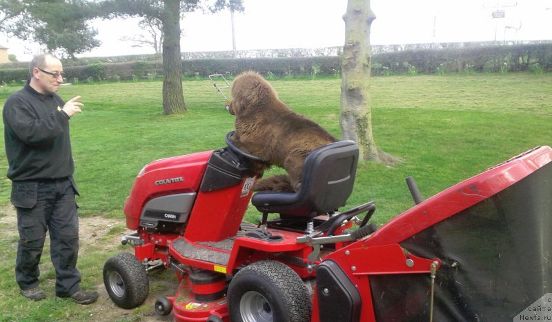 Фотография № 179000