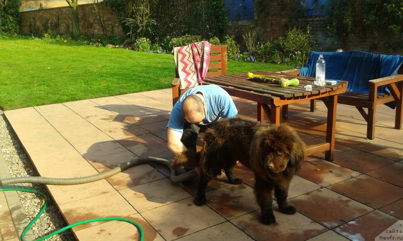 Фотография № 179002