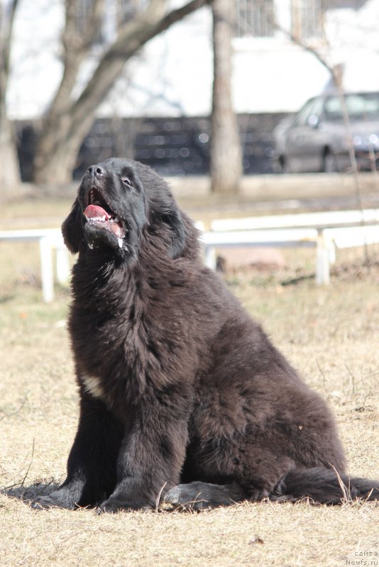 Фотография № 179055