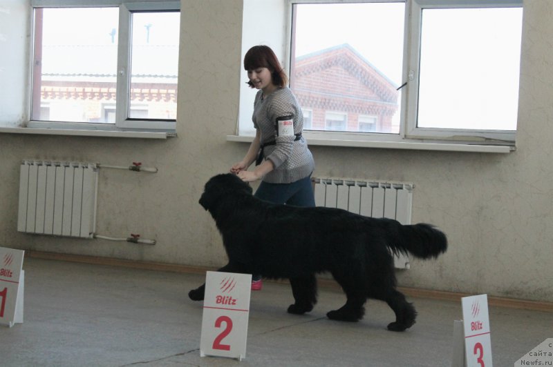 Фотография № 179078