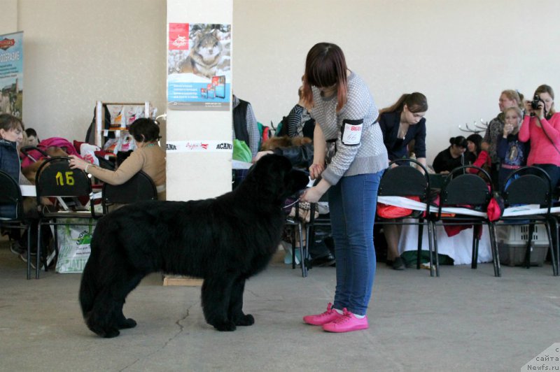 Фотография № 179080