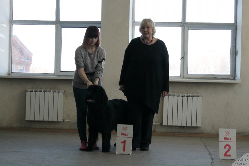 Фотография № 179081