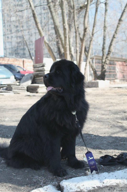 Фотография № 179086