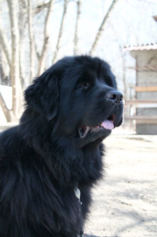 Фотография № 179087