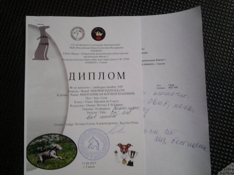 Фотография № 179092