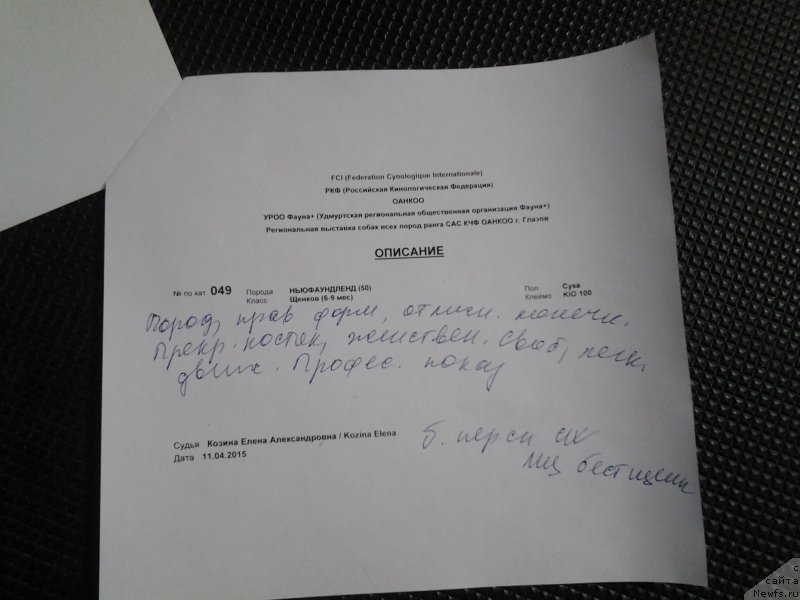 Фотография № 179096