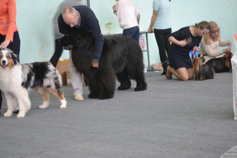 Фотография № 179100