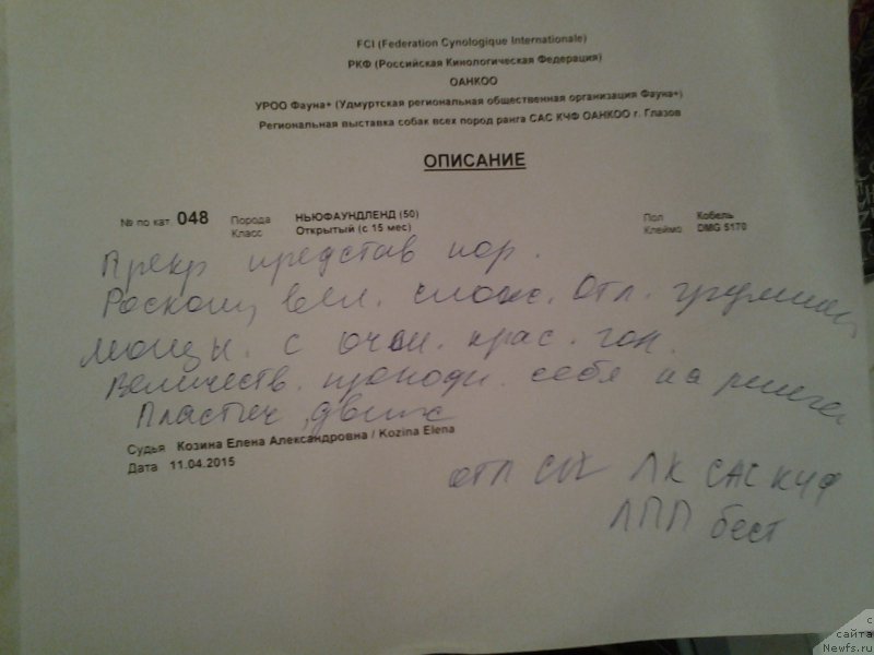 Фотография № 179103