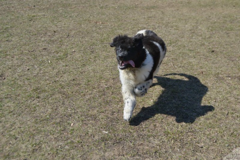 Фотография № 179120