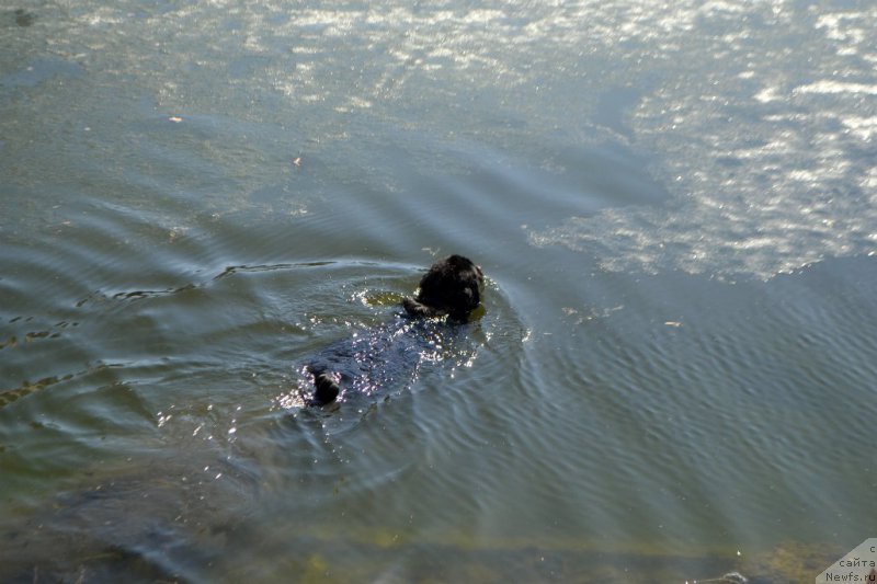 Фотография № 179122