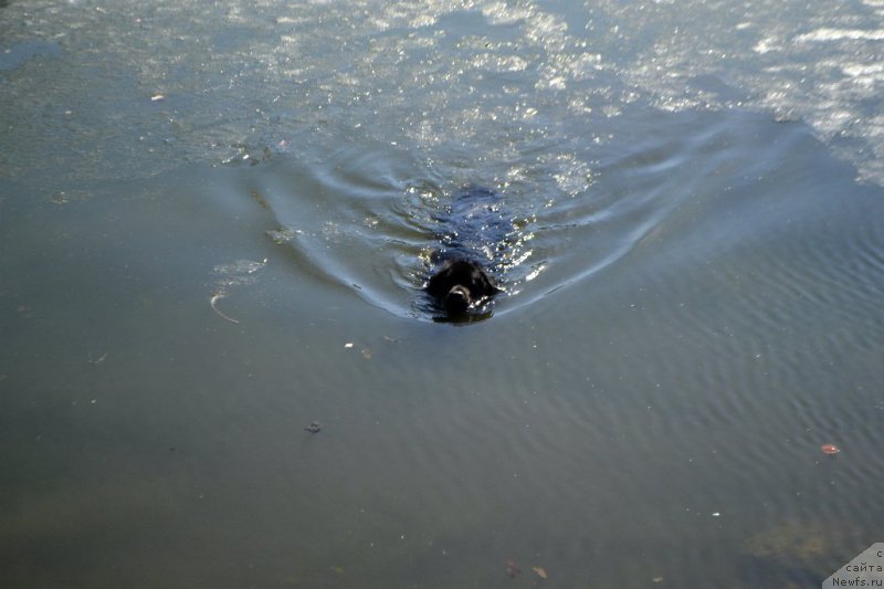 Фотография № 179124