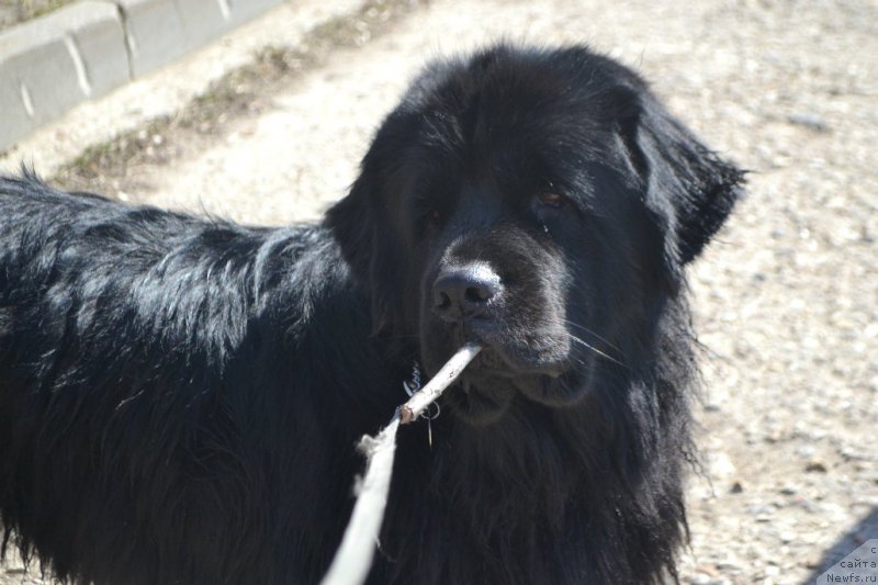 Фотография № 179125