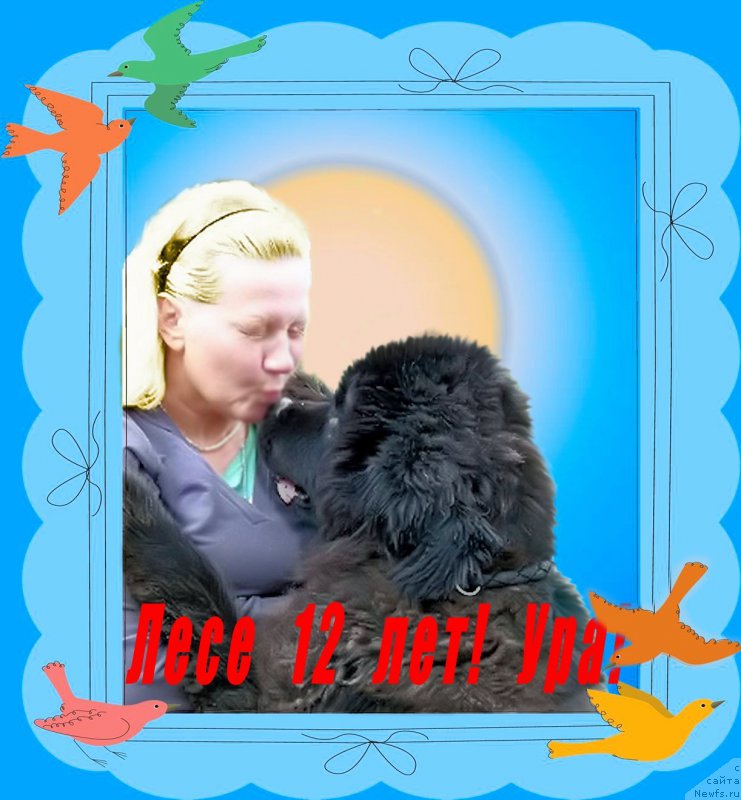 Фотография № 179141