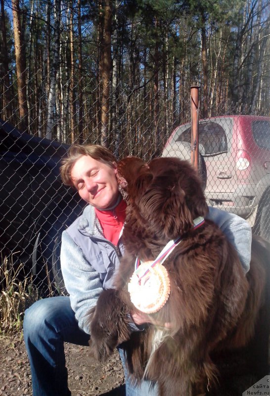 Фото: ньюфаундленд Акватория Келвин Хизер Хани (Aquatoriya Kelvin Heather Honey), Наталья Иванова