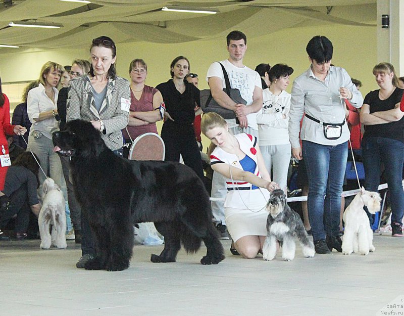 Фотография № 179146