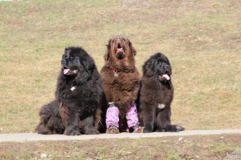 Фотография № 179151