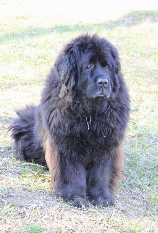 Фотография № 179154