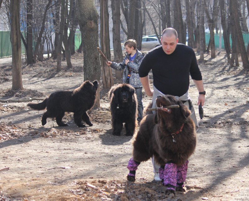 Фотография № 179155