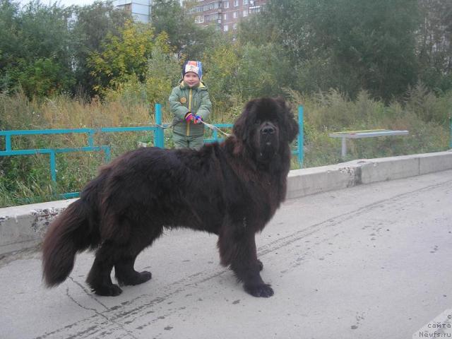 Фотография № 17919