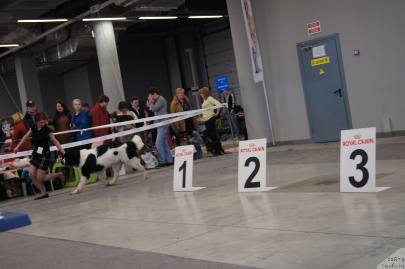 Фотография № 179197