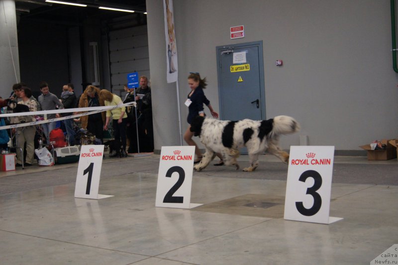 Фотография № 179200