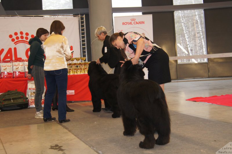 Фотография № 179201