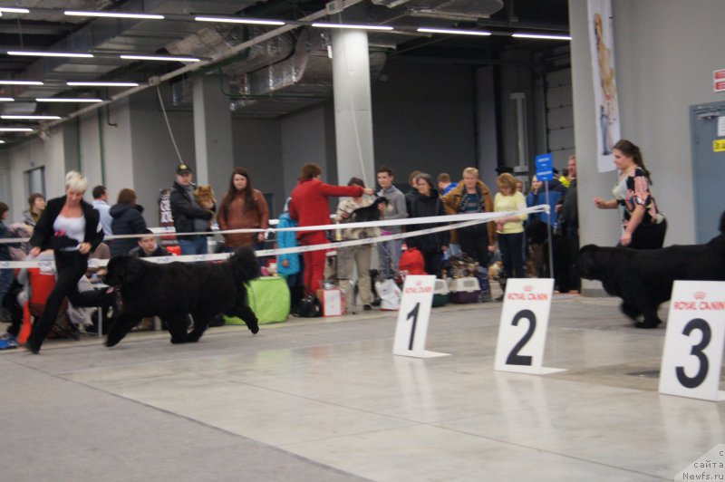 Фотография № 179204