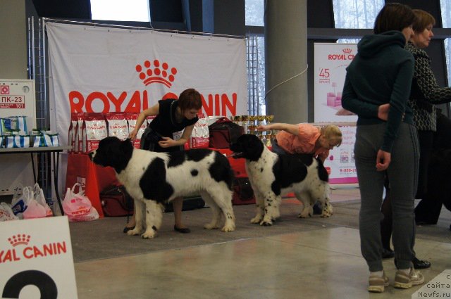 Фотография № 179208