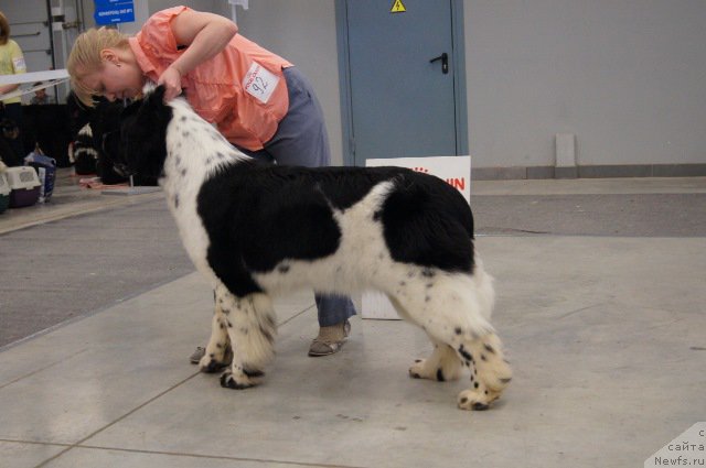 Фотография № 179210