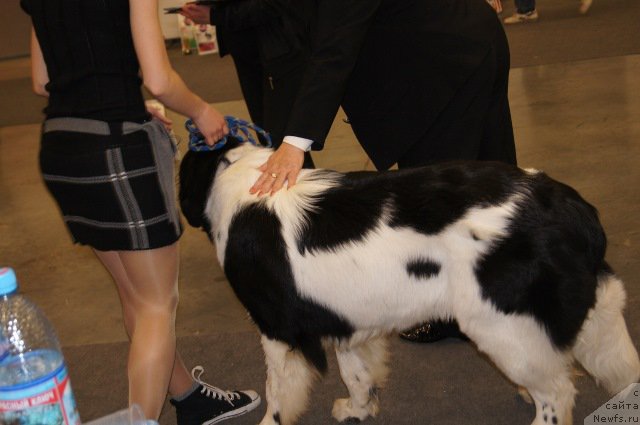 Фотография № 179213