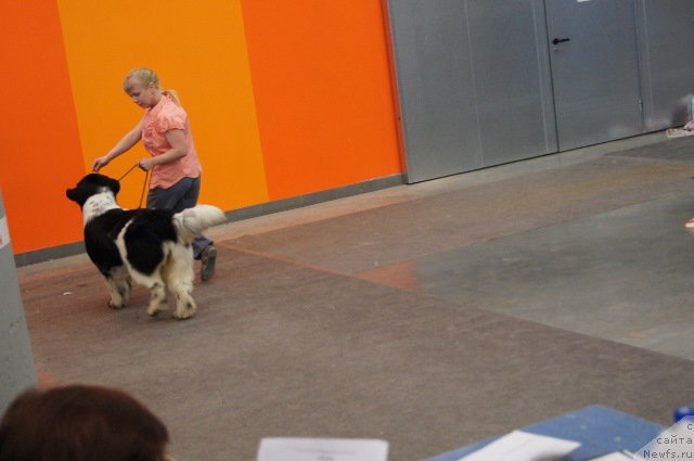 Фотография № 179214